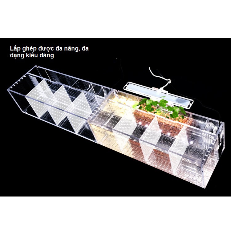 [hot sale]Hộp acrylic nuôi cá chọi betta 4 ngăn trong suốt