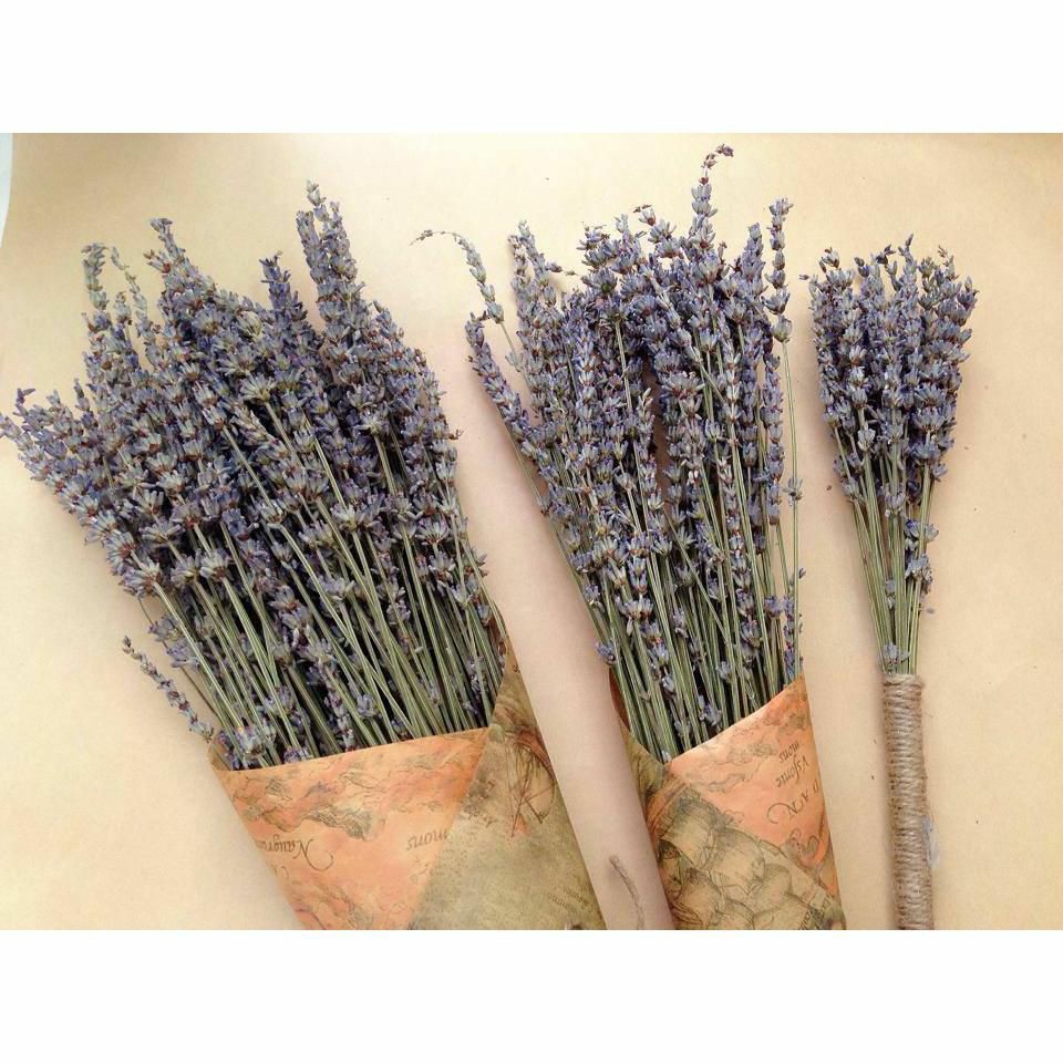 hoa khô - lavender, oải hương thơm ngát