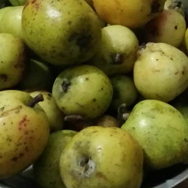 500g hoa đu đủ đực khô