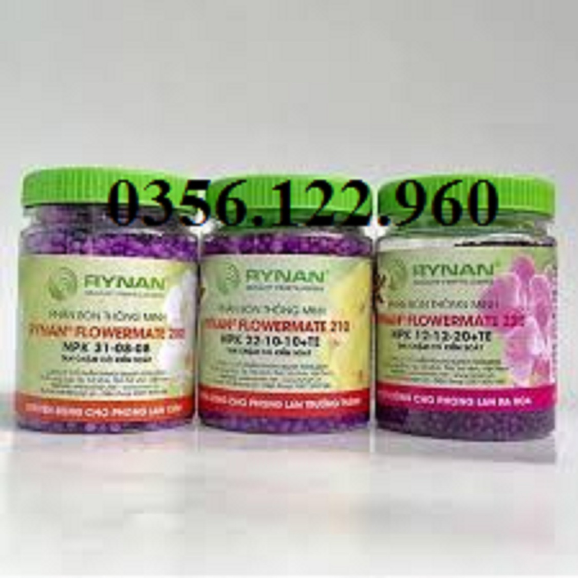 COMBO BỘ 3 PHÂN TAN CHẬM THÔNG MINH CÓ KIỂM SOÁT RYNAN CHUYÊN DÙNG CHO LAN - 3 giai đoạn phát triển của lan