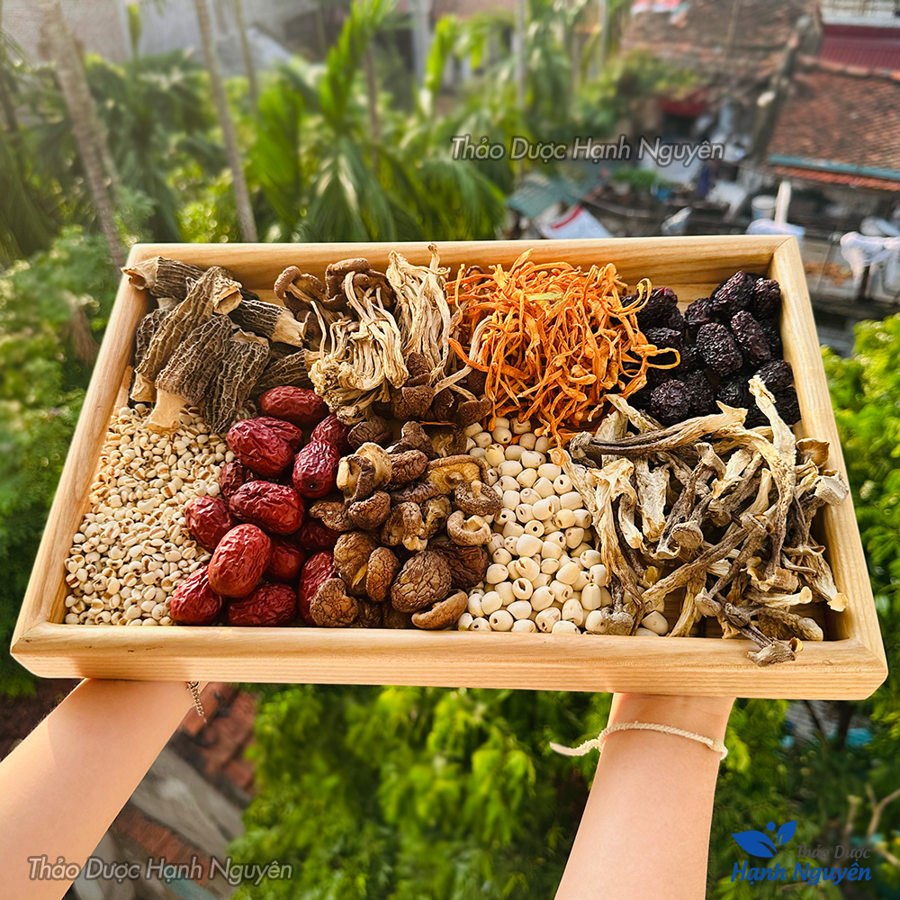 Gà hầm nấm quý, set nấm tần gà, chim, lẩu nấm thơm ngon, bồi bổ sức khỏe cho cả gia đình