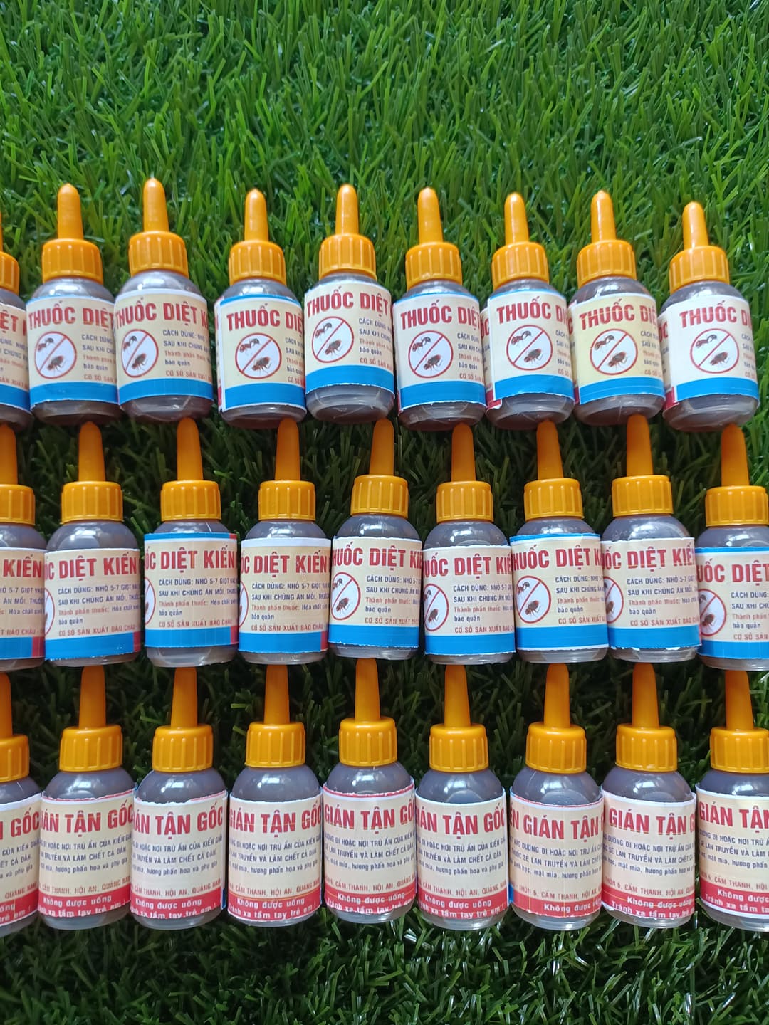 10 lọ thuốc diệt kiến gián tận gốc sinh học