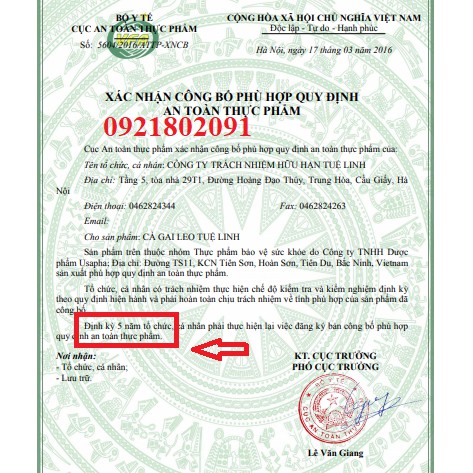 Cà gai leo tuệ linh giải độc gan (lọ 60 viên)