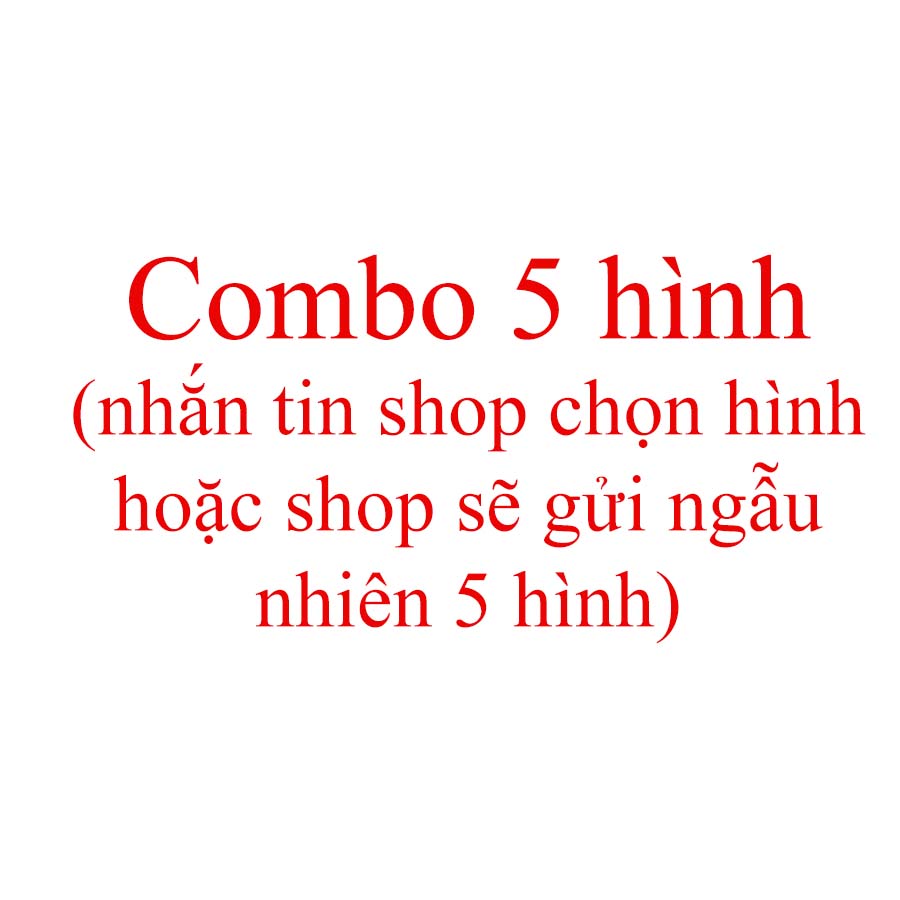 Poster Zoro Hình dán decal One Piece Zoro