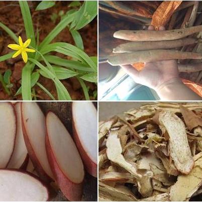 01 Kg sâm cau khô loại đặc biệt
