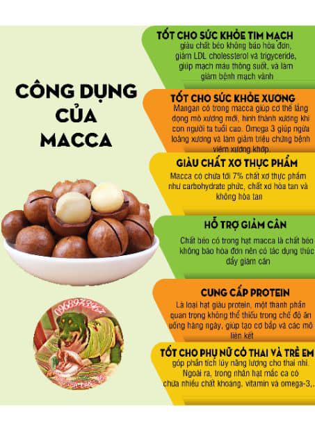 Macca Đak Lak Sấy Loại 1 - Size Đại (500Gr) MCĐ01