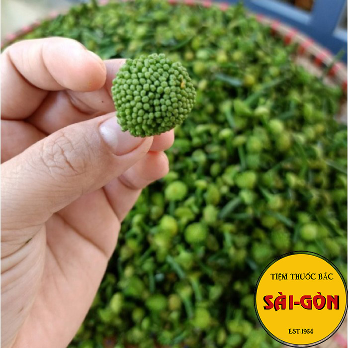 Nụ Hoa Tam Thất 1kg