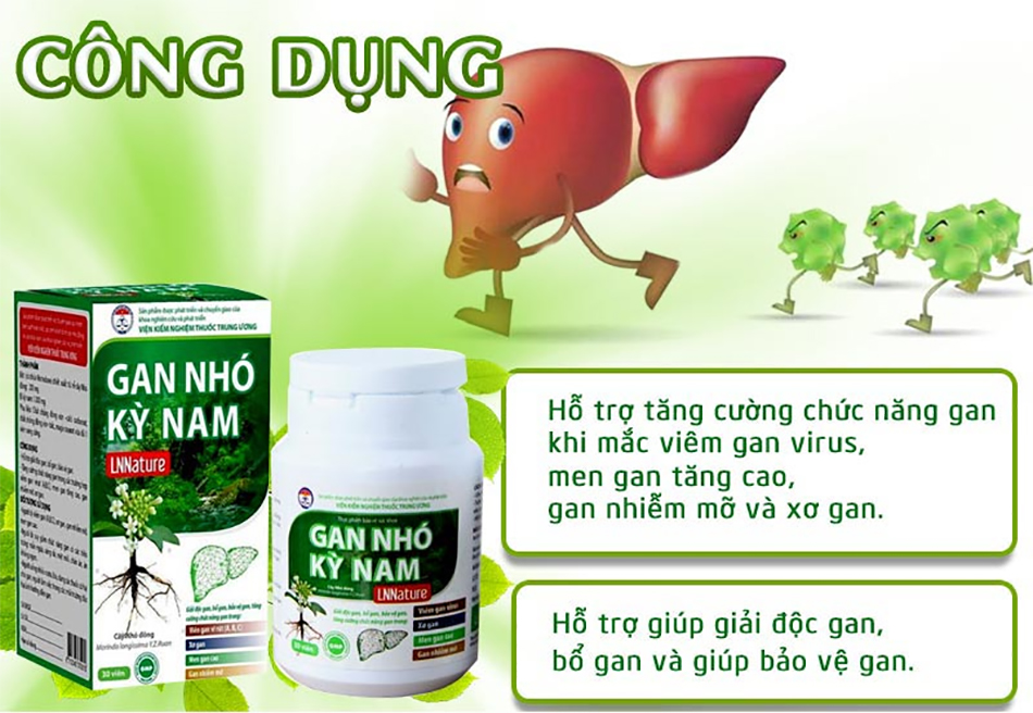 gan nhó kỳ nam - date mới 2026