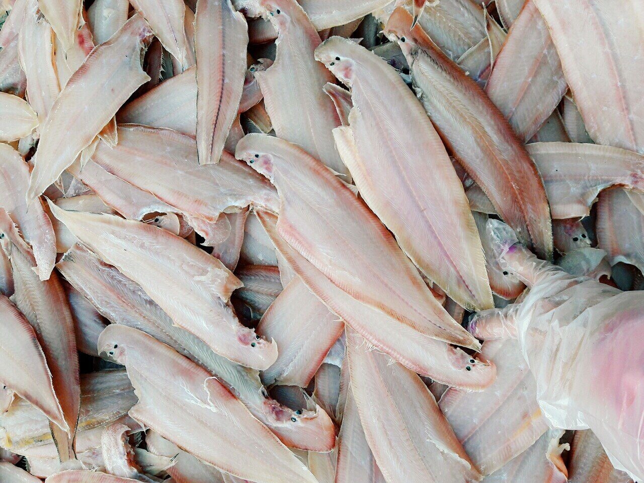 500GR KHÔ CÁ LƯỠI TRÂU SẠCH