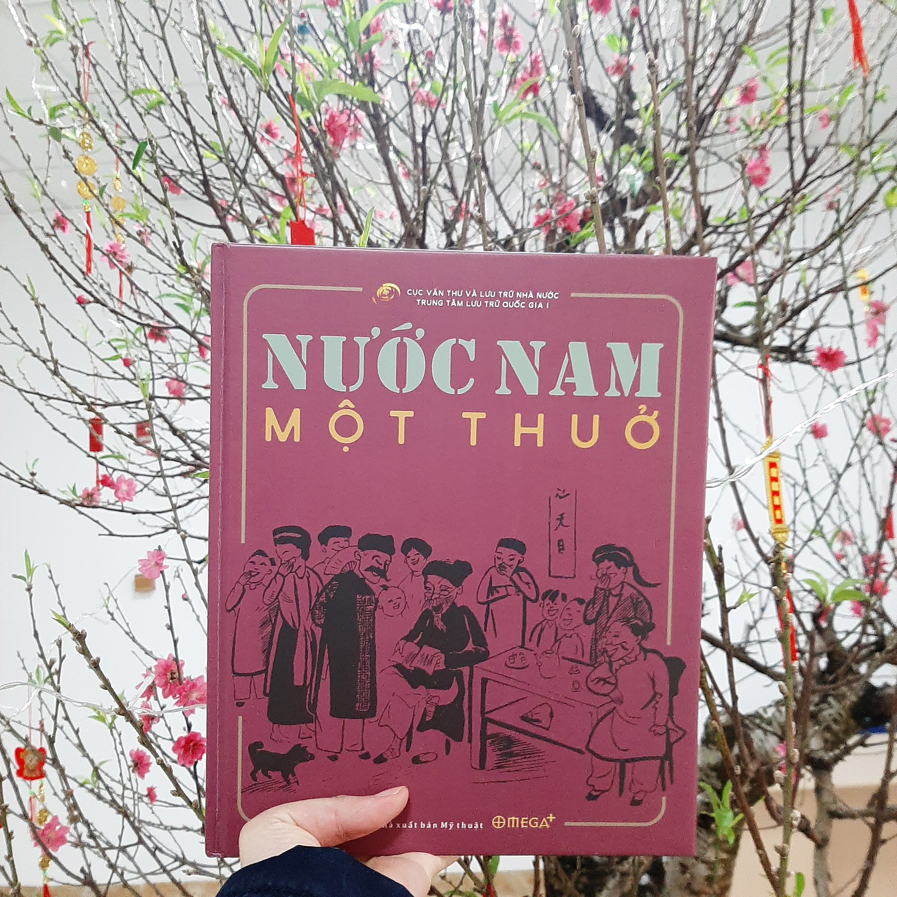 Sách - Nước Nam Một Thuở ( Bìa cứng )