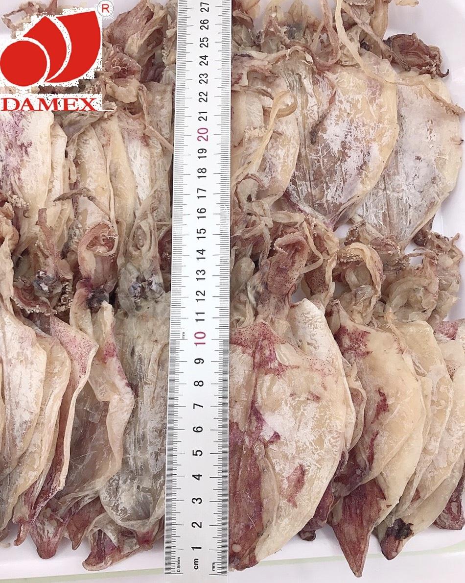 Khô mực DAMEX size trung combo 21 con