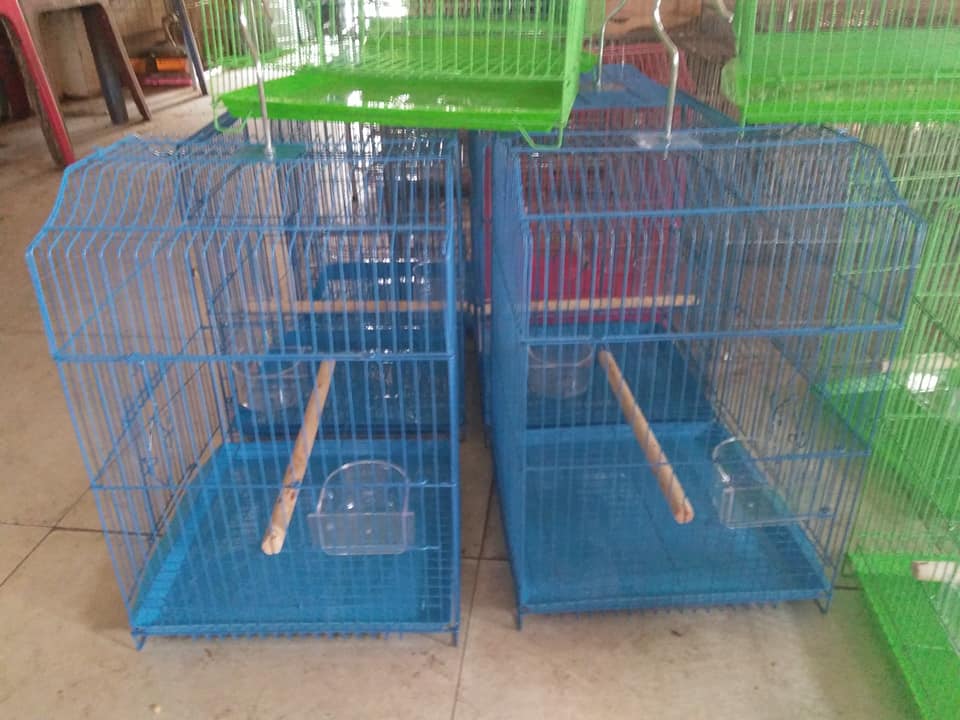 Lồng chim yến phụng 402(Giao màu ngẫu nhiên)