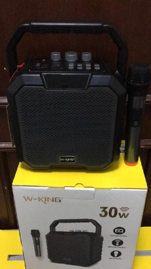Loa bluetooth không dây karaoke 30W W-King K2