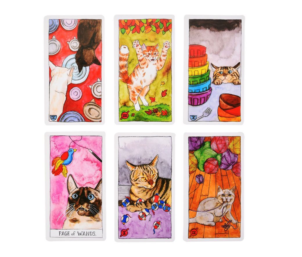Bài Cat Tarot New M9