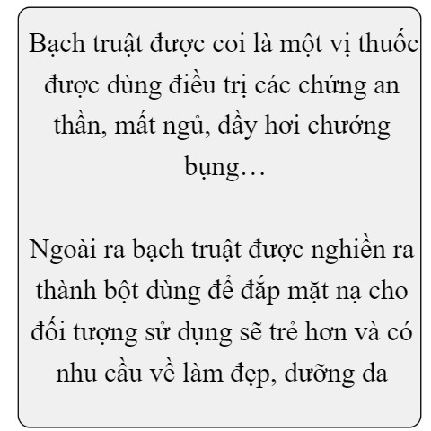 Bột Bạch Truật