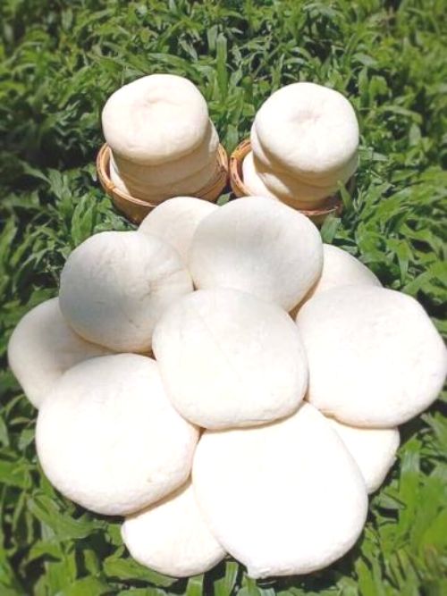 Bánh bao sữa tuổi thơ (100g/6 cái/bịch)