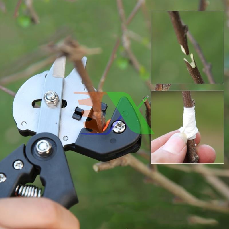 Pull potentiometer grafted plants, machine cut outs branches, potentiometer branchlets 3 mode (u, v, N), gear potentiometer grafted plants, scissors cut eye tree