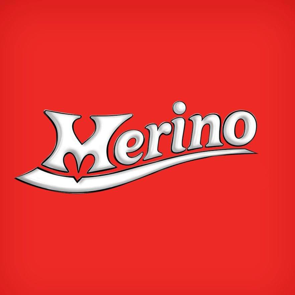 (GIAO HỎA TỐC HCM) Kem ly Merino Cup nhiều vị