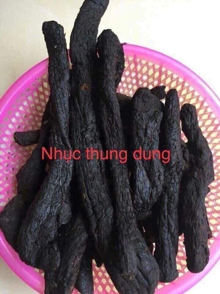 NHỤC THUNG DUNG