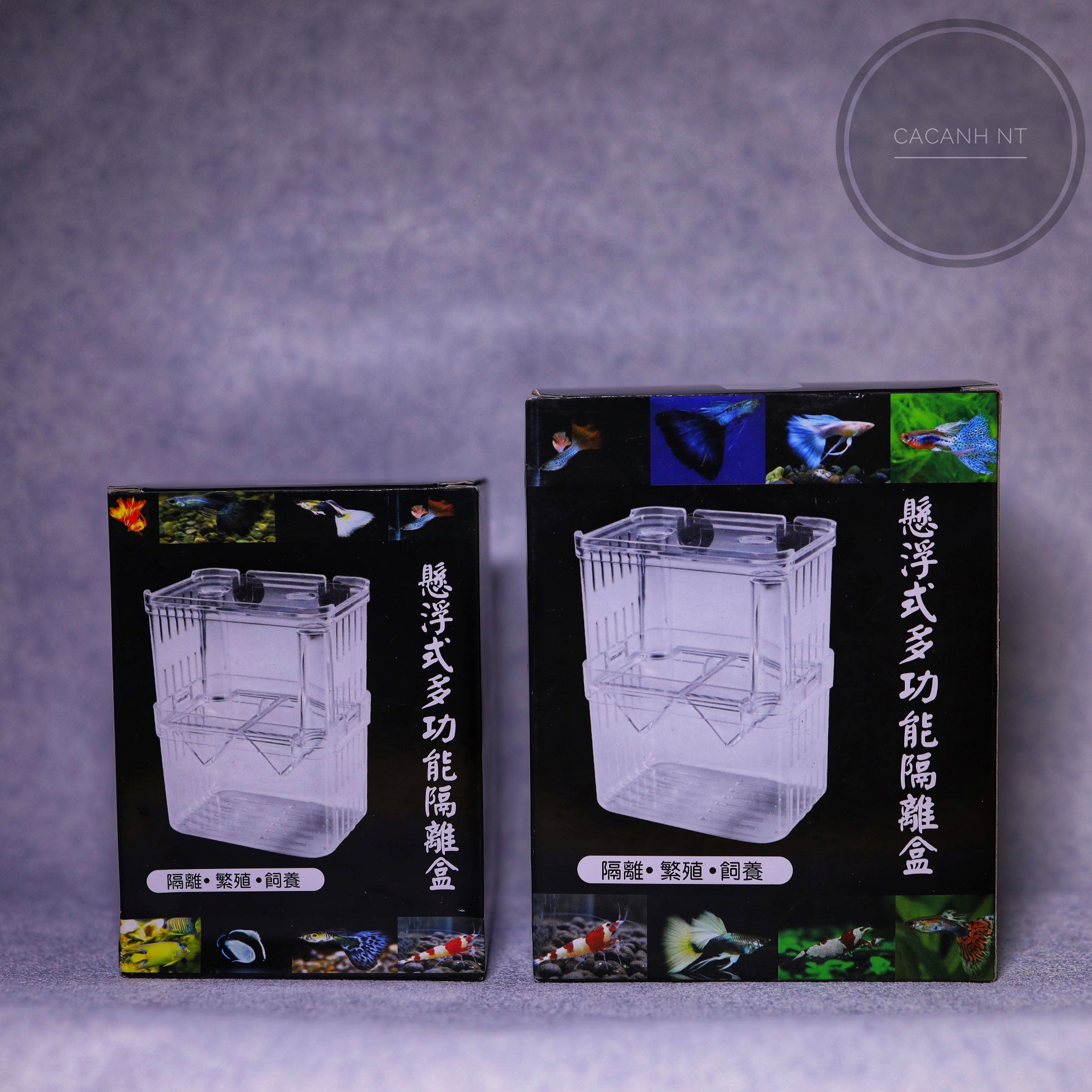 Hộp cho cá đẻ , lồng đẻ guppy , lồng dưỡng cá
