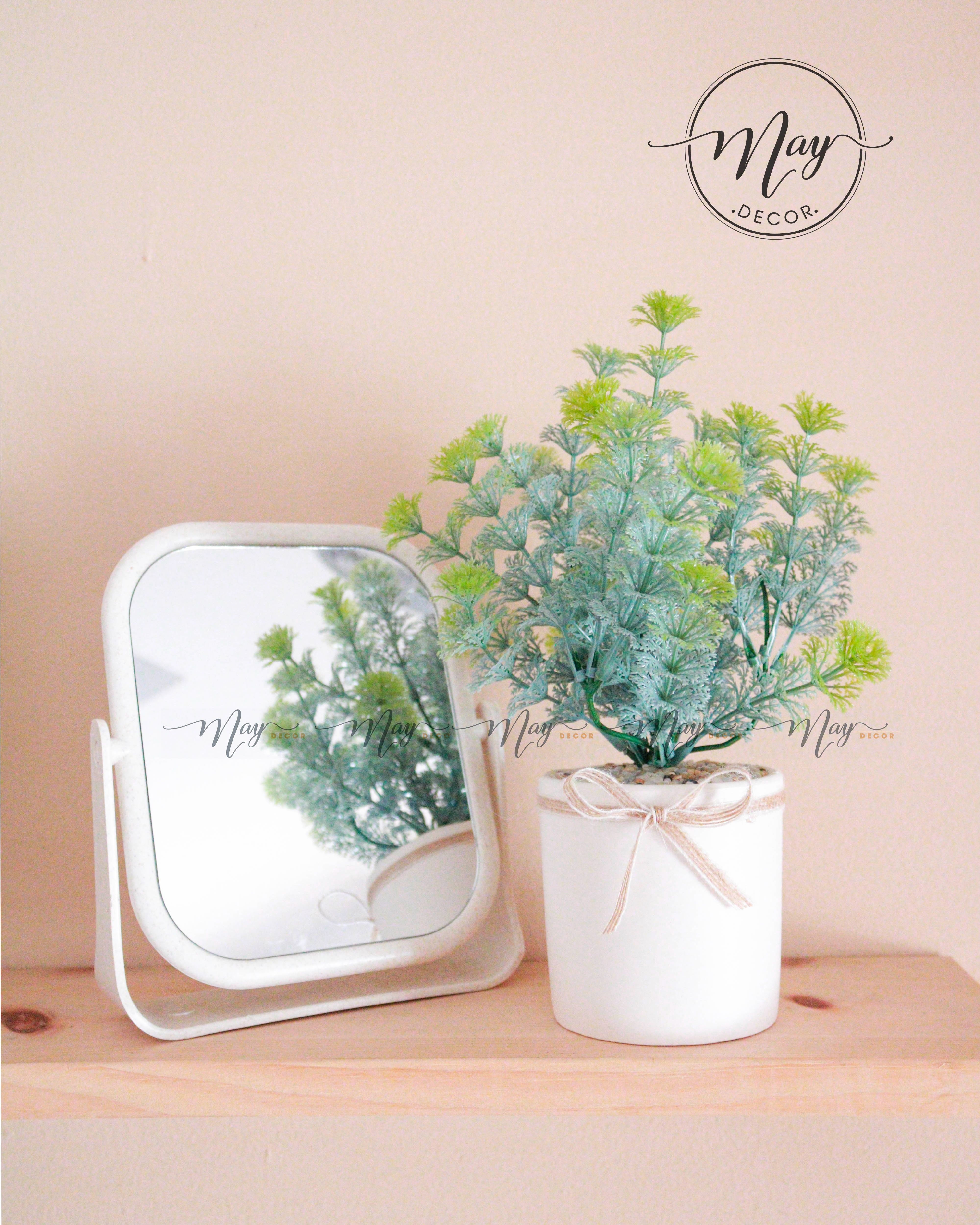 Cây giả - Chậu cây rong cụm đuôi chồn cao 20cm
