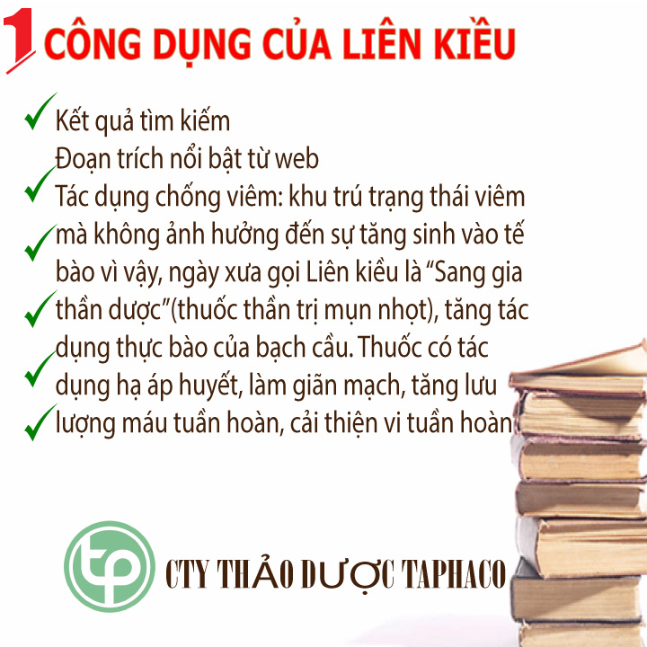 Liên kiều khô 500g - Thảo Dược Tấn Phát