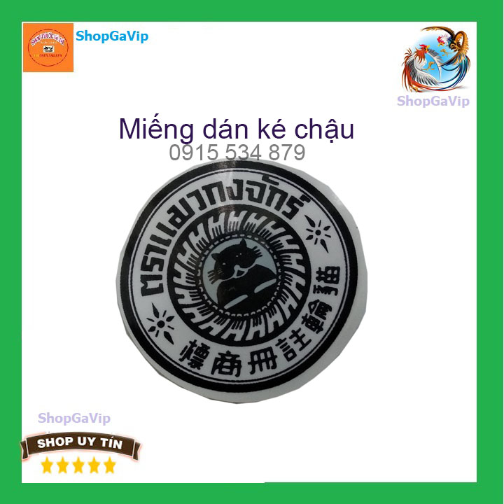 miếng dán ké chậu gà đá 1 miếng [ShopGaVip]