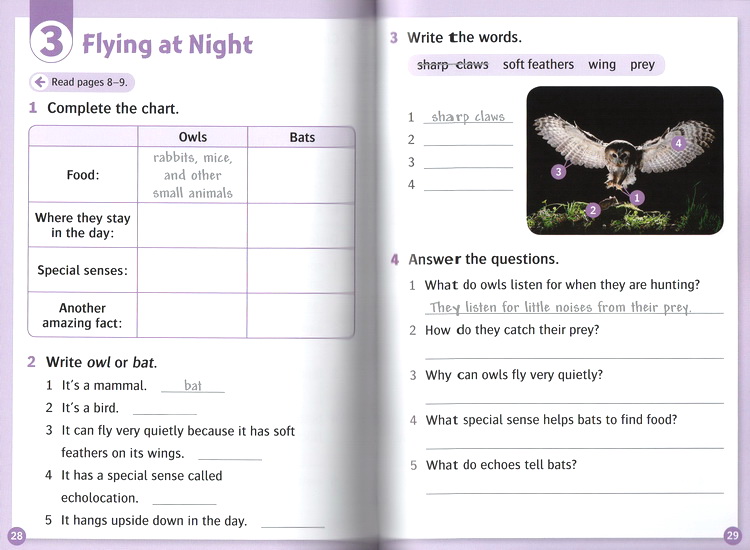 [Sách nhập khẩu] Oxford Read and Discover/ Imagine – Level 4 (20 quyển + File nghe)