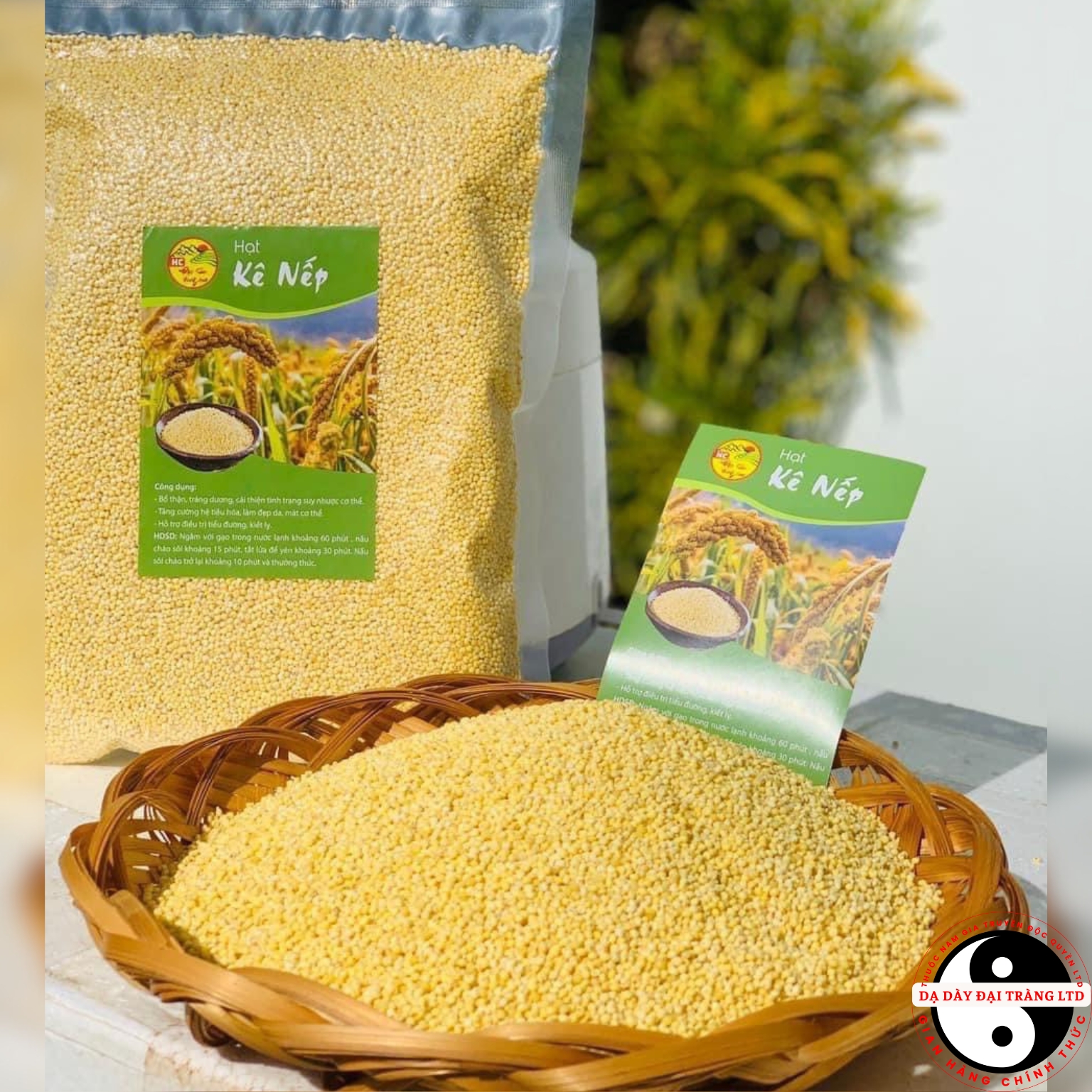Hạt kê nếp vàng đã tách vỏ loại 1, hạt kê cho bé ăn dặm . Hạt kê nếp vàng organic hữu cơ nấu chè, nấu xôi, làm bánh, sữa hạt, nấu cháo cho bé