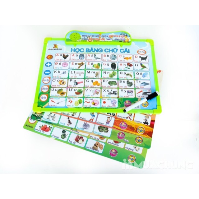 Bảng chữ cái 5 chủ đề kèm pin