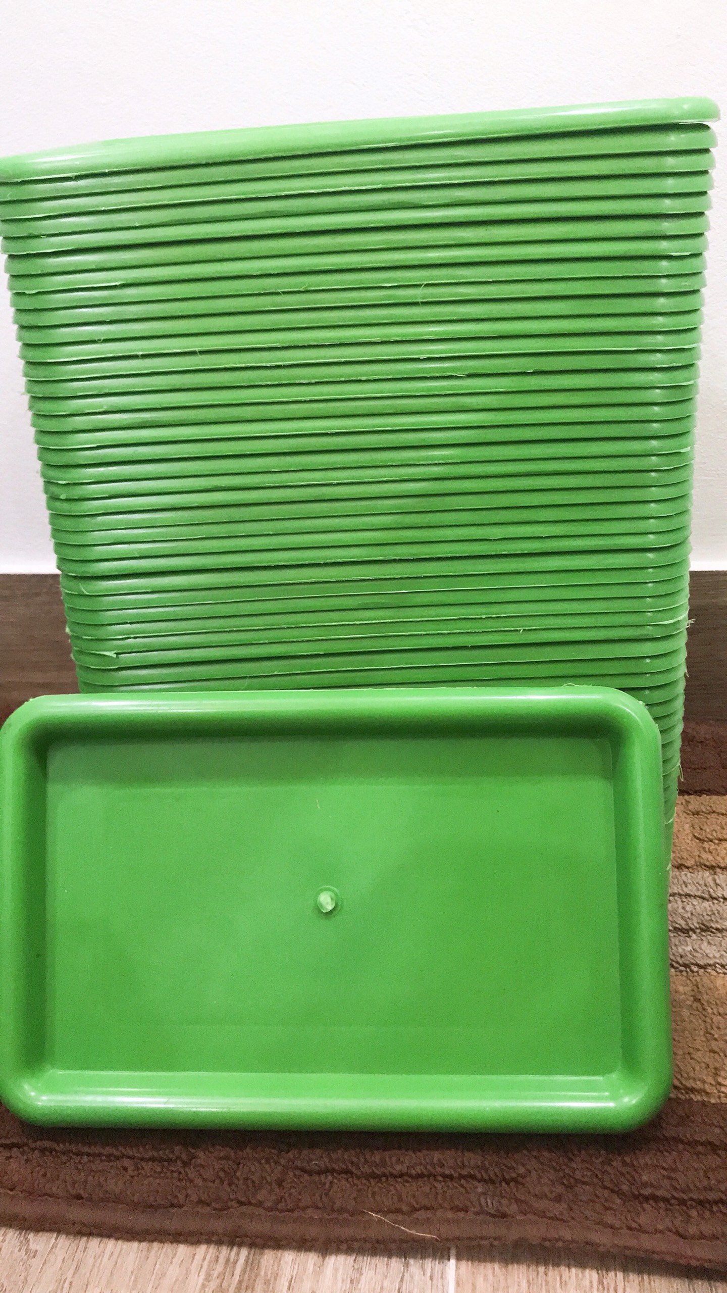 Plastic tray rectangle đựng fruit handy-premium vinyl đựng fruit