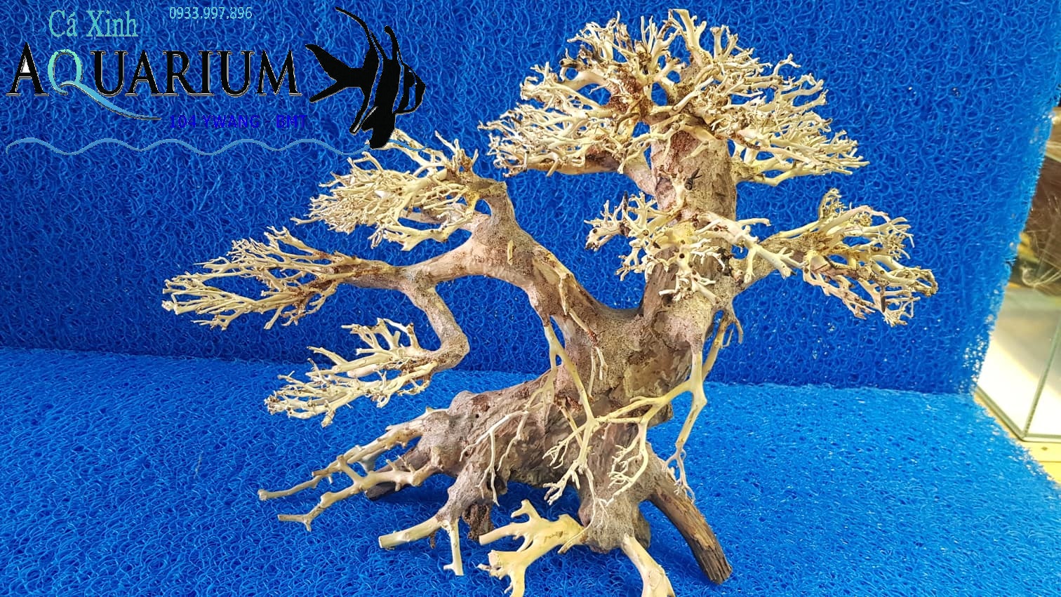 Cây Bonsai cho hồ cá size trung