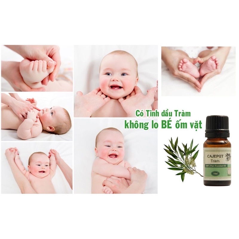 TINH DẦU TRÀM HUẾ NGUYÊN CHẤT 100ml (Chính hãng Thắng Lợi phân phối)