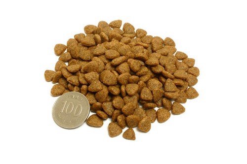 Hạt Catsrang Cho Mèo Lớn | Túi Zip 1kg | Catrang