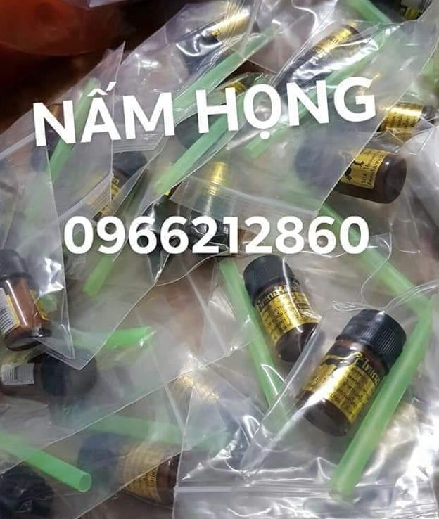 NẤM HỌNG Thailand