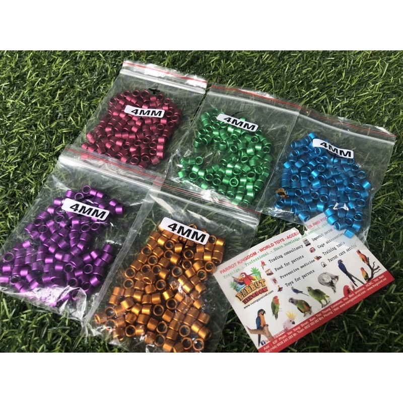 SET 10 vòng đeo chân chim chào mào 4mm