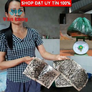 10 Keo dính ruồi, bẫy ruồi siêu dính