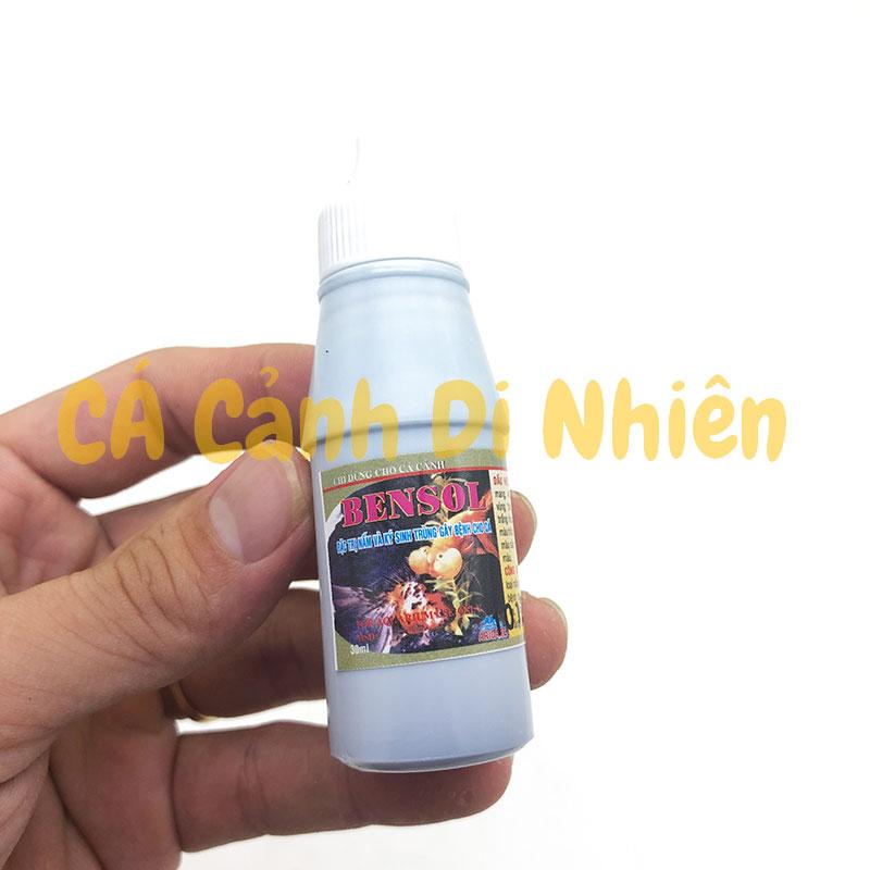 Phụ kiện hồ cá Bensol - Cá Cảnh Di Nhiên