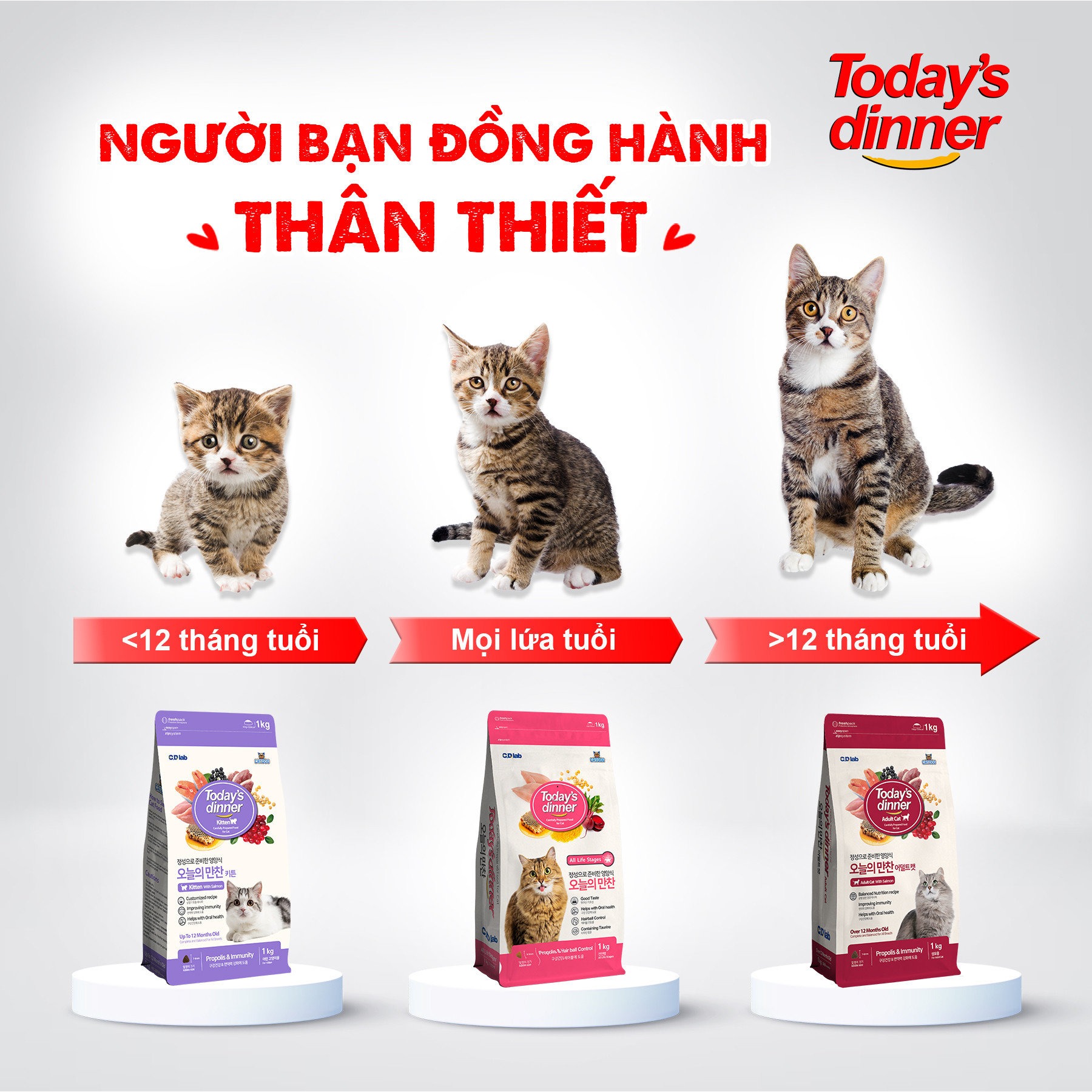 Today's Dinner 1kg Cat All Life Stages - Hạt cho mèo mọi lứa tuổi