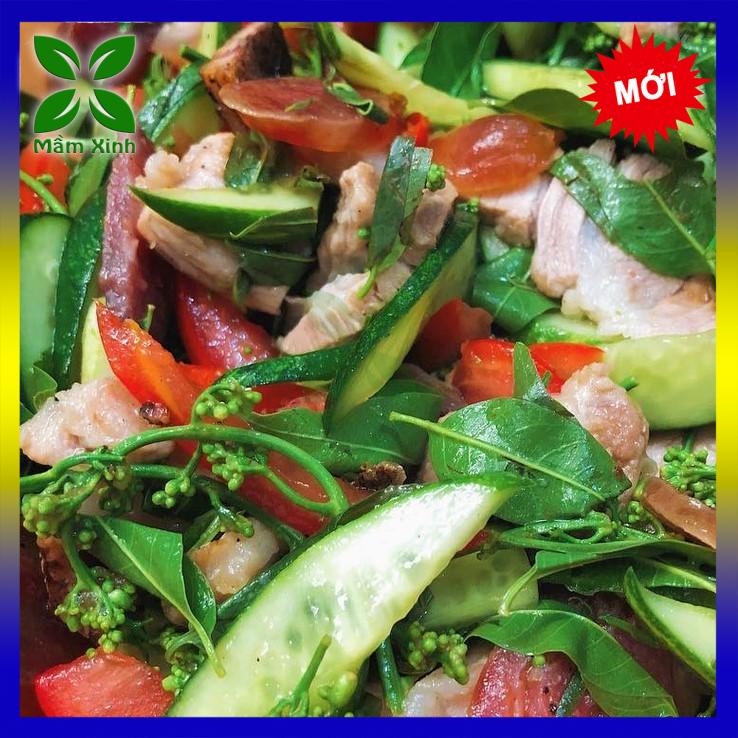 Cây Sầu Đâu Giống