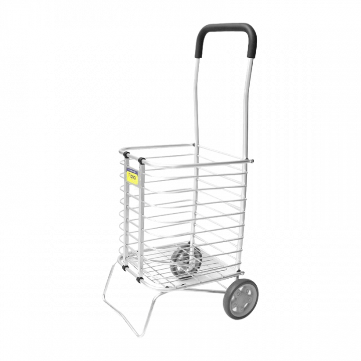 Xe đi chợ đa năng Flana LA-8008i