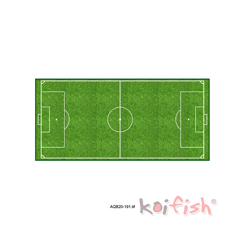 Tranh 3D Koifish, sân bóng ấn tượng, sáng tạo, aqb20-191, nhiều kích thước