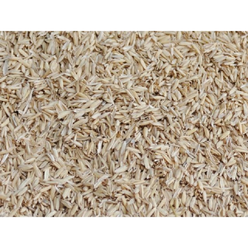 Trấu Sống [1 Kg] - Giá Thể Trồng Cây