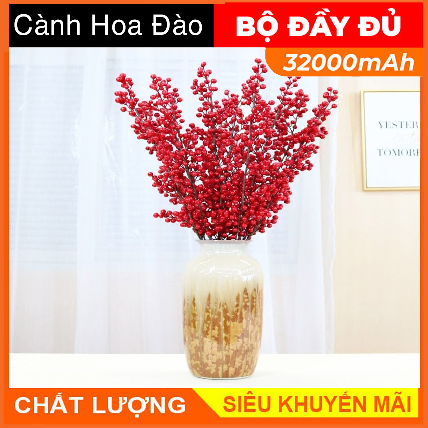 Cành hoa đào đông đỏ