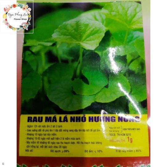 Giống rau má - gói 1 gram