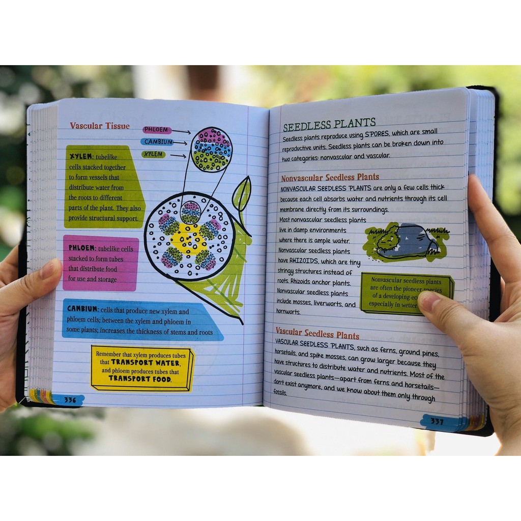 Sách Big Fat Notebook Everything You Need To Ace Science - Sổ tay khoa học bản tiếng anh - Nhà Sách Giáo Dục Á Châu
