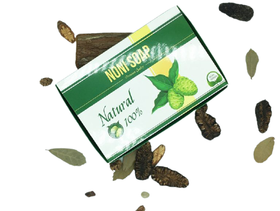 Combo 2 bánh xà bông Noni Green - Noni Soap