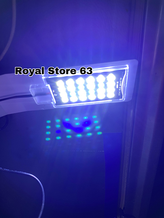 Jeneca X5 đèn led kẹp cho bể cá cảnh thủy sinh