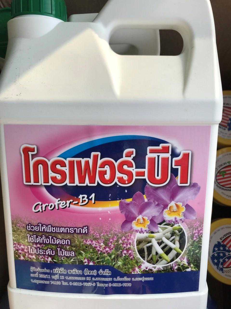 Phân bón lá cao cấp Grofer B1 chai 5 Lít nhập Thái Lan