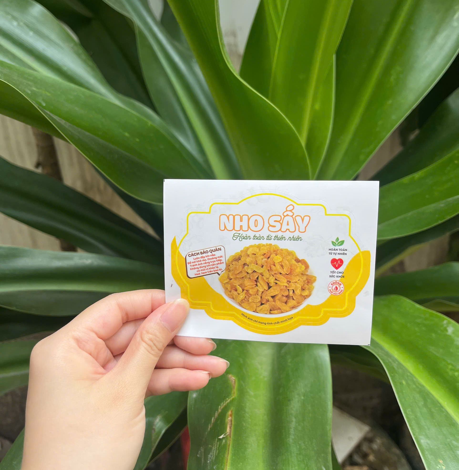 50 tem dán "Nho sấy" - 7x9,6cm